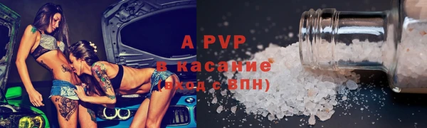 ешки Богданович
