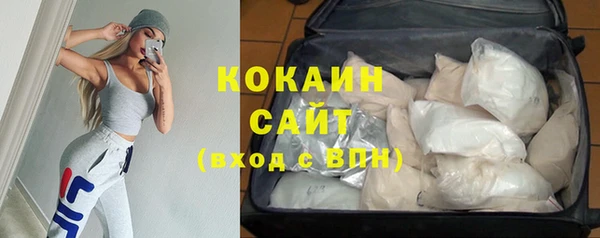 мдпв Богородицк