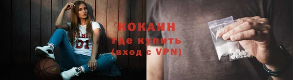 ешки Богданович