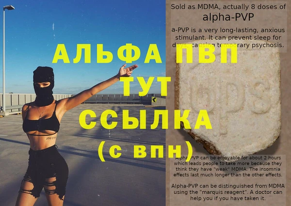 ешки Богданович