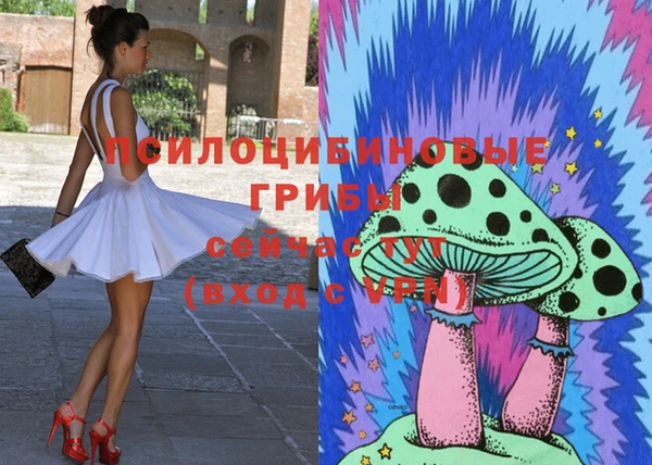 мдпв Богородицк