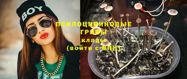 ешки Богданович