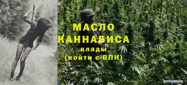 мдпв Богородицк
