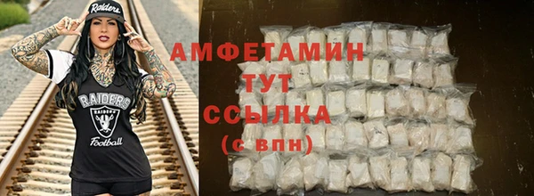 мдпв Богородицк