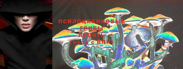 мдпв Богородицк