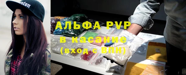 ешки Богданович